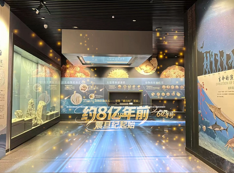 项目案例 image 11
