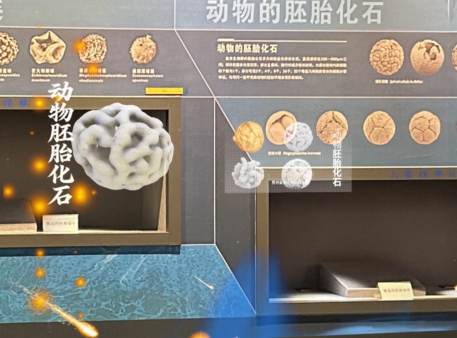 项目案例 image 12